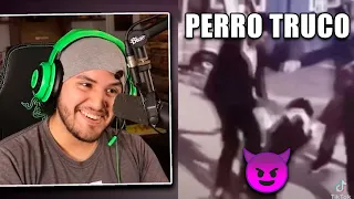 MISHIFU reacciona a SHITPOST #4