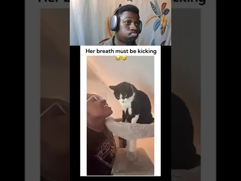 Try.Not.to.Laugh.Challenge..😅😅🎯Ep 328 To 1000 #trending#trynottolaugh#funny#reactionvideo#memes