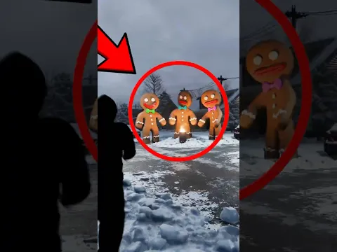 Never Trust a Gingerbread Man That Looks This Cute 😱