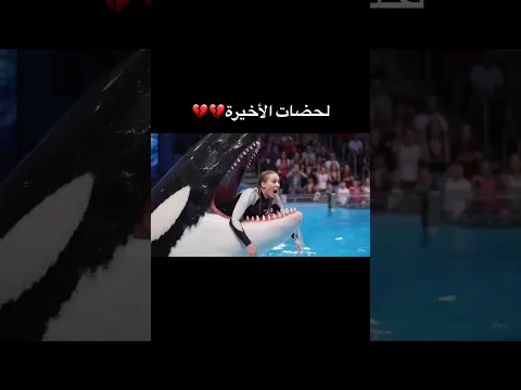 الأوركا يأكل جيسيكا يمكن من فيدوي كل شيء واضح 🤍