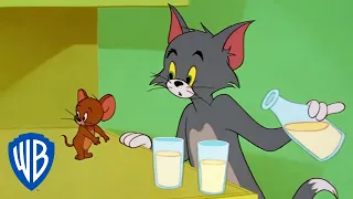 Tom & Jerry in italiano | Tom e Jerry a schermo intero | WB Kids
