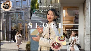 Flying Alone to Korea: 超夯地、廣藏市場生肉生章魚🐙、麻花捲、韓牛燒烤燒啤、最火的聖水洞café、首爾當地朋友帶玩吃什麼、剛好遇到了銀杏季🍁| It's Jcnana 蒨蒨