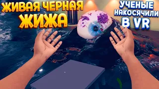 УЧЕНЫЕ СОЗДАЛИ ЖИВУЮ ЧЕРНУЮ ЖИЖУ В ВР ( Vertigo Remastered VR )