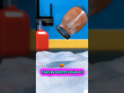 Kiraz Ağacını Sonsuz Nasıl Çoğaltabilirsin!🤔