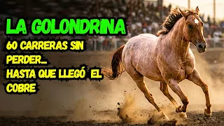 LA GOLONDRINA: comprada por 5 pesos en una feria, un año después llevaba 60 carreras sin perder