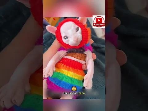 😺👶 Lo que esta gata adoptó dejó a todos sin palabras… ¡una historia increíble! 💔➡️💖 #shortsfeed