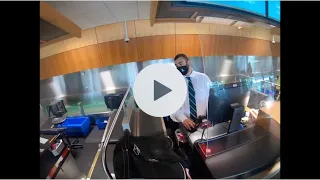 Flying With a Service Dog | Check-in, Clearing Security