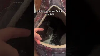 Family adopts a stray cat that shows up at their door everyday!