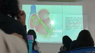 Fisio parte 2