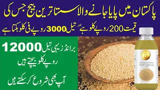 How to start Poppy Seed Oil  Business in Pakistan Highly Profitable Business