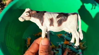 Plastic Animals Toys Unboxing Order Flipkart Cow, Buffalo, Dinosaurs, Rhino, Hippo, Deer, Stag,