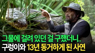 "구렁이와 동거하는 자연인" 그가 산골 야생동물들과 공존하는 법 [2021-2022 UHD환경스페셜 29편 늡다리의 수상한 동거] / KBS 20211111 방송