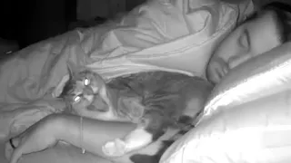 Minnie was upset I went to bed without her again…