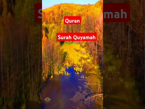 Quran Surah Quyamah with urdu translation #quran #jalsa #motivation @Shorts #reels #trending