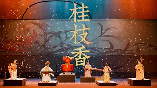 这首《桂枝香》好听到流泪Guizhixiang: Beautiful and sad tunes performed by Chinese instruments