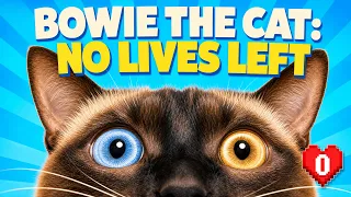 Bowie the Cat: No More Lives (Short Film)