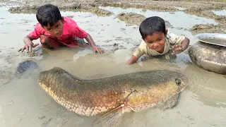Amazing Boys Catching Fish By Hand In Mud Water | Fishing Video