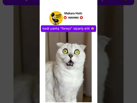 kedi internetten yanlış sipariş verdi 😂