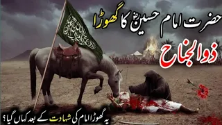 zuljanah ki tarikh aur haqeeqat | history of zuljanah kahan gaya | Islamic true info |