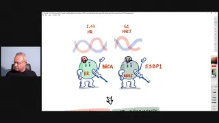 Spike Protein Goes to Nucleus and Impairs DNA Repair (In-Vitro Study - Not Possible In-Vivo)