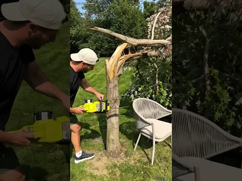 He Turned a Fallen Tree Into a Stunning Table 🌳 #shorts
