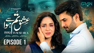 Ishq Tum Se Hua - Episode 01 - Fahad Sheikh - Sukaina Khan - Hassan Ahmed - Drama Planet