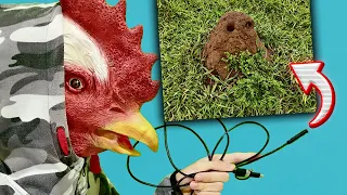 Coloquei Uma Câmera Dentro Do Formigueiro GIGANTE! Achei a RAINHA?