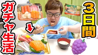 140kgデブは３日間ガチャガチャでゲットした食べ物だけで生活出来るのか?!ガチャの個数はルーレットで決める超過酷生活!!