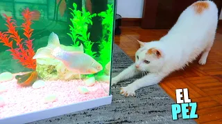 EL PEZ