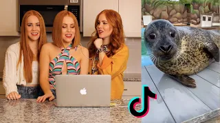 Reacting to TikTok’s Funniest Animal Videos 🐶😂 | Triplet Sisters Try Not to Laugh!
