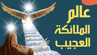 هل تعلم | عالم الملائكة العجيب | أوصافهم وظائفهم وأعدادهم وحياتهم | الشيخ محمد العريفي