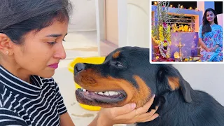 ತುಳಸಿ ಪೂಜೆ ಸಂಭ್ರಮ ಆದ್ರೆ Champಗೆ ಉಷಾರಿಲ್ಲ🥲 |Tulsipooje| #madhugowda