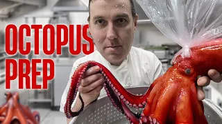 How to prepare an Octopus 🐙 The Vivaldi Way!