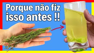 Se Você Misturar 1 Vez à Noite, Vai Me Agradecer Para Sempre (Misture Cravo e Alecrim)