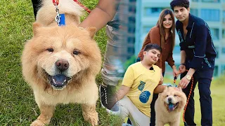 𝐀𝐚𝐣 𝐦𝐢𝐥𝐞 𝐡𝐮𝐦 𝐠𝐚𝐛𝐛𝐚𝐫 𝐬𝐞 𝐤𝐚𝐟𝐢 𝐭𝐢𝐦𝐞 𝐛𝐚𝐝 🐶😍