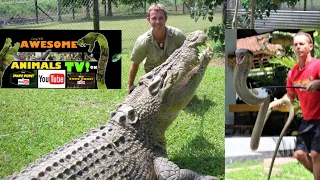 KING COBRA - MONSTER CROCODILES - KOMODO DRAGONS - CREEPY CRAWLYS & MORE!TOP 10 DANGEROUS ANIMALS!