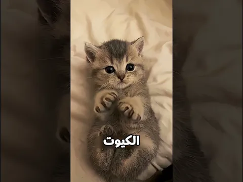 الجاكيت السحري اللي بيغير لونه مع المطر 😱🌧️