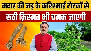 आक की जड़ से करें चमत्कारी उपाय, होगा धन लाभ चमकेगी किस्मत, मदार की जड़ के उपाय, Aak Ki Jad Ka Totka