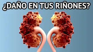11 HÁBITOS QUE DAÑAN TU RIÑÓN - ¿cómo cuidar tu riñón?