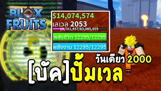 Blox fruit 24 ชั่วโมง บอกจุด บัคปั้ม เลเวล 2000 วันเดียว!