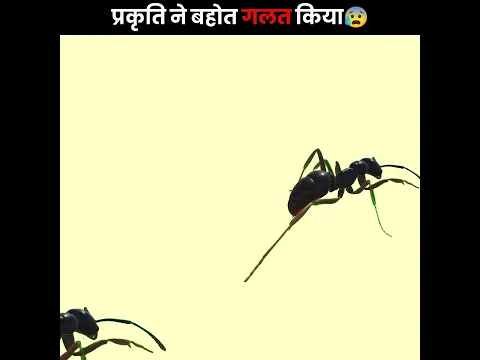 ऐसी सजा किसी को न मिले 😰 | Animals That Nature Has Treated Unfairly | The Fact | #shorts #ytshorts
