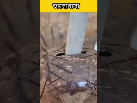 বোনের প্রতি ভালোবাসা ❤️❤️#indianhacker #facts #trendingfact #factshorts