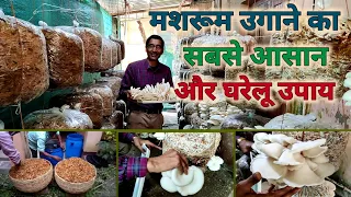 घर पर करें मशरूम की खेती , मालामाल हो जाएंगे आप // Growing Oyster Mushroom at Home