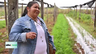 Uso de motocultor ayudó a productora hortícola y feriante, a crecer en producción y calidad