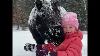 My Christmas memories ❤️