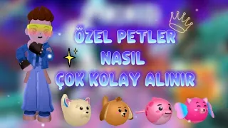 PK XD ÖZEL PET NASIL ÇOK KOLAY ALINIR !? HEPSİ BU VİDEODA 💯🎉