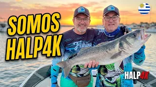 Somos HALP4K 🎣 | Pesca, viajes, cocina y risas por el mundo 🐟