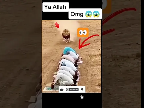 MashAllah 💪🕋💚 Respect, #shorts #allah #muhammad #mecca #madina #moosatv #masjid #Masmediainfo