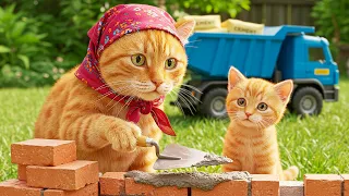 Mama Cat and Kitten become builders constructing a cozy new home for ducklings 🐾🏠🦆