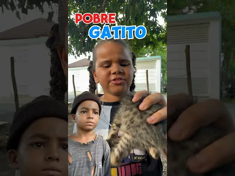 Los Gatitos Abandonados 🐈 #viralvideos #shortvideos #shortsyoutube
